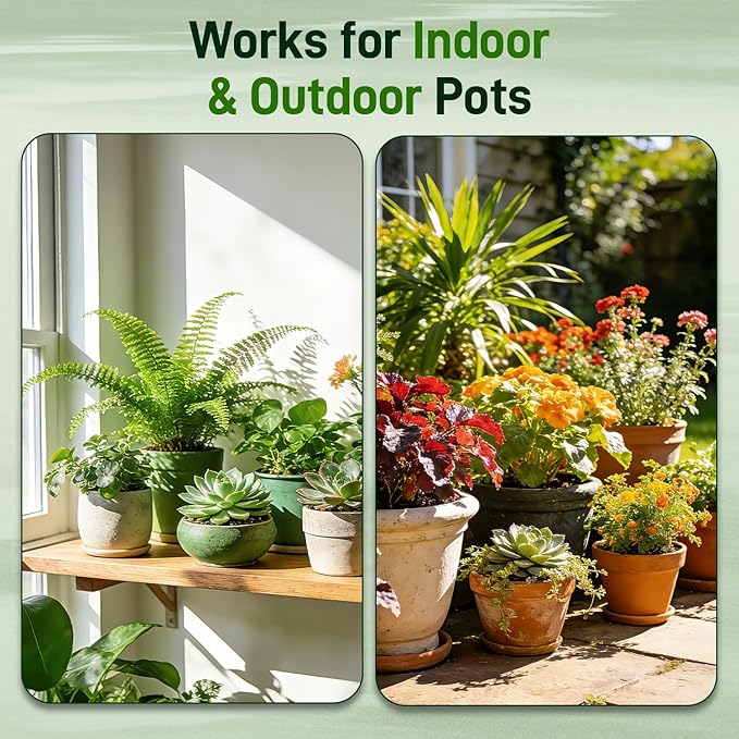 3QT Potting Soil Mix for Indoor Plants - Contains Perlite, Peat Moss, Coco Coir & Rice Charcoal, Natural & Organic Material with Well-Draining, Light & Aerated Texture for Healthy Roots & Fast Growth