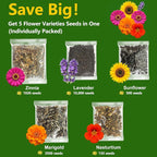 LUOJIBIE 5 Varieties Flower Seeds in Individual Packs, Includes Zinnia, Lavender, Sunflower, Marigold Nasturtium, 15,000+ High Germination Non-GMO Seeds for Planting Indoor Outdoor, Open Pollinated