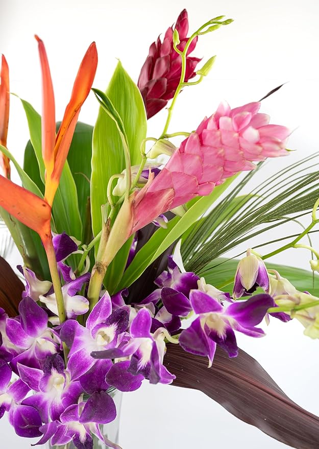 Fresh Orchids and Tropical Flower Bouquet, Purple Orchids, Red Ginger, Heliconia, Mixed Foliage, Hawaiian - PRIME QUALITY - Perfect for Birthdays, Valentine's Day, Mother's Day, Anniversaries, etc.