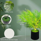 20'' LED Areca Palm Tree Faux Plant with Lights - USB & Battery Box Powered - Artificial Palm Tree for Living Room, Bedroom, Home Decor (Dypsis lutescens)