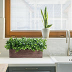 Winlyn 14" Artificial Boxwood Plants in Rectangular Wood Planter Farmhouse Greenery Arrangement Centerpiece Faux Potted Herb Plant for Wedding Dining Room Table Kitchen Windowsill Mantel Shelf Décor