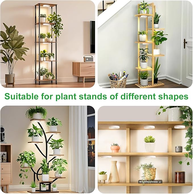 Ceiling LED Plant Growth Lights for Indoor Plants, Warm+White Full Spectrum 3.54" Grow Lamps for Plant Growth with 6/12/16H Timer, 3 Spectral Modes, 10 Dimmable Levels, Halo Angel Ring White (2 Head)