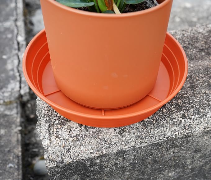 LWALRS Plant Saucer 14 Inch 2 Pack 6 8 10 12 14 16 18 20 25, Plastic Plant Trays for Pots，Extra-Deep Plant Water Dray Tray, Bird Bath Bowl, Heavy Flower Plant Saucers Indoors and Outdoor No Holes