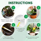 Plant Watering Globes Set of 4 - Small Self Watering Globes for Indoor & Outdoor Plants - Multicolored, Automatic, Glass Watering Bulbs for Daily Use, Plant Watering Devices