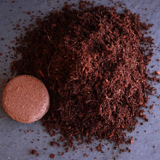 Minute Soil - Compressed Coco Coir Fiber Grow Medium - 40 MM - 30 Pucks (1 Pack)