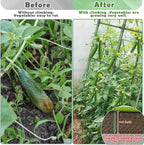 Cucumber Trellis for Raised Bed, Garden Arch Trellis for Climbing Plants Outdoor, Metal Garden Trellis for Spring Vegetables, Cucumber Trellis for Spring Tomato, Bean, Pea, Grape, Plant
