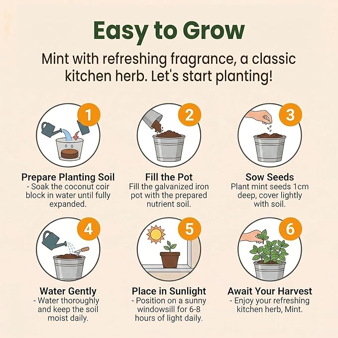 Mint Grow Kit, All-in-One Indoor Herb Garden Kit with Planter, Soil & Seeds, Easy DIY Planting Kit for Kitchen, Grow Your Own Fresh Mint for Tea & Drinks, Beginner Friendly Gardening Gift