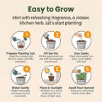 Mint Grow Kit, All-in-One Indoor Herb Garden Kit with Planter, Soil & Seeds, Easy DIY Planting Kit for Kitchen, Grow Your Own Fresh Mint for Tea & Drinks, Beginner Friendly Gardening Gift
