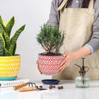 Selamica Ceramic Plant Pots, 4.6+5.6+6.5 Inch Planters with Drainage Holes & Saucer, Flower Pots for Indoor Plants, Home Decor, Set of 3, Assorted Colors
