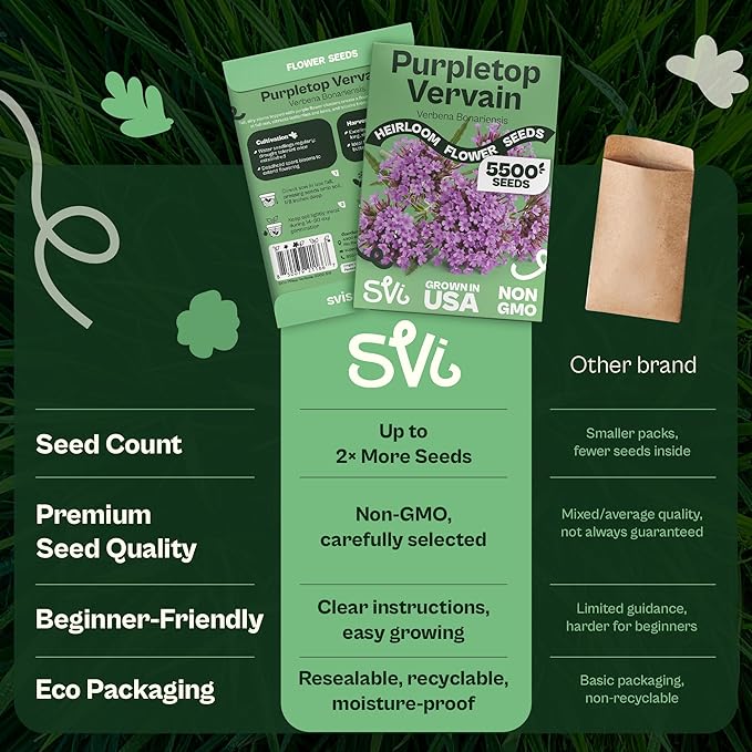 SVI 5500 Purpletop Vervain Seeds (Verbena Bonariensis) - Tall Verbena, Purple Blooms, Pollinator Magnet, Perrenial Seed in Seed Packets - Flower Seeds for Home Garden, Borders, Outdoor Flower Beds