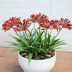 Artificial Flowers for Outdoors 18.9 in Large Fake Plants Outdoor Flower Spring Summer Decoration Outside for Front Porch Garden Window Box