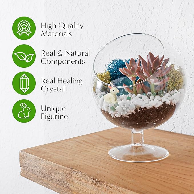 Creations by Nathalie DIY 6" DIY Chalice Terrarium Kit - Build Your Own Glass Terrarium for Adults & Teens with Moss, Crystals, Tools & Decor - Handcrafted in the USA (Live Plant Included)