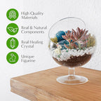 Creations by Nathalie DIY 6" DIY Chalice Terrarium Kit - Build Your Own Glass Terrarium for Adults & Teens with Moss, Crystals, Tools & Decor - Handcrafted in the USA (Live Plant Included)