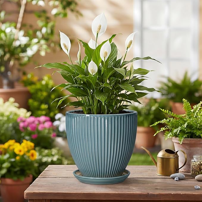 6 Inch Plant Pot Indoor, Ceramic Pots for Snake Succulent Plants, Decorative Round Flower Pots with Drainage Hole and Saucer, Modern Planter, Bookshelf Decor, Gifts for Men Women, Glaze Blue