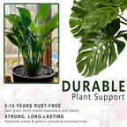 6 Pack Detachable & Assemblable Metal Plant Support Stakes - Garden Support Ring, Tomato Seedling Cage, Young Monstera/Pothos for Growing Indoor/Outdoor (10" W x 16" H)