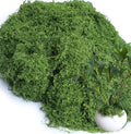8.8oz Green Fake Moss Faux Plant Grass Artificial Flowers Moss for DIY Crafts Fairy Garden Pot Filler Vase Decorating Project Indoor Model Making Walls Glass Decor Forlaoers
