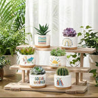 Sieral 12 Pcs Thank You Employee Appreciation Gift Succulent Pots Social Worker Gift Ceramic Plant Pot with Bamboo Tray Succulent Planter for Coworker Teacher, Plants Excluded (Social Worker)