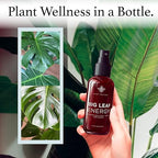 Neem Oil Spray for Plants – Big Leaf Energy, with Essential Oils – Ready-to-Use Plant Spray for Outdoor & Indoor Plants, Made in USA (4 fl oz)