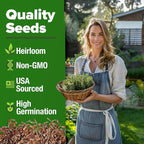 HOME GROWN Non GMO Rosemary Seeds Pack - 150 High Germinating Heirloom Herb Seeds for Planting in Indoor or Outdoor Herb Gardens (Salvia rosmarinus)