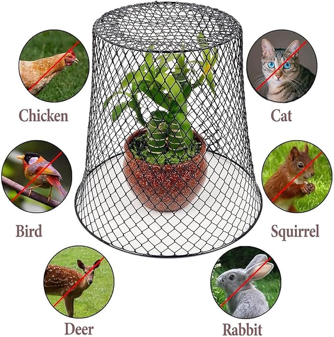 Wire Cloche Plant Covers for Animals, Garden Netting Metal Plant Protectors for Animals for Keeping Bunnies Chicken Squirrels Birds, Wire Cloche for Plants Shrubs Vegetables Flowers Black 1pc