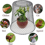 Wire Cloche Plant Covers for Animals, Garden Netting Metal Plant Protectors for Animals for Keeping Bunnies Chicken Squirrels Birds, Wire Cloche for Plants Shrubs Vegetables Flowers Black 1pc