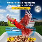 Solar Powered Bird Feeder with Camera: One Full Charge Lasts for Weeks with 6W High Conversion Rate Solar Panel - Continuously Record Over 600 30-S 2K Videos on Backyard/Garden