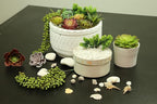 DECOROUS Artificial Succulents Plants Unpotted -14 Pack– Large Fake Succulent Plant Indoor Outdoors – Realistic Faux Cactus Suculentas Bulk for Home DIY Décor – Small Desert Plastic Cacti Succulants