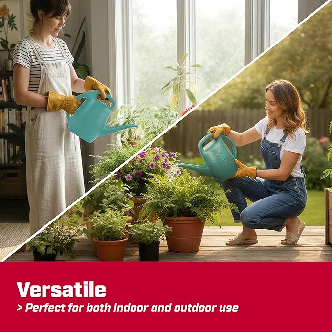 Chapin 48007 Watering Can, Garden, Indoor and Outdoor Plants, Recycled Plastic, Made in USA, 0.5 Gallon, Sky Blue