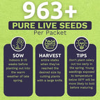 Organic Celery Seeds ‘Tall Utah’ – Two Seed Packets! – Over 1,926 Open Pollinated Heirloom Non-GMO Seeds – Sweet Yards Seed Co.