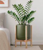 D'vine Dev Ceramic Planter with Natural Stand - 12 Inch Modern Round Flower Pot with Wood Planter Holder, Olive, 55-B-J-J