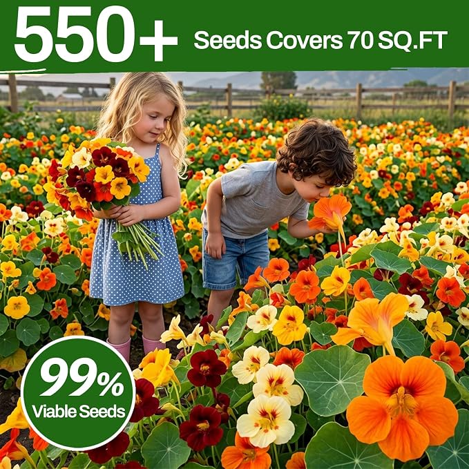 LUOJIBIE Nasturtium Seeds, 550+ Mixed Colors Large Blooms Seeds Bulk Pack, Nasturtium Seeds for Planting 2026, High Germination Non-GMO, Wildflower Seeds for Planting Indoor Outdoor, Open Pollinated