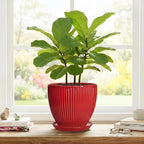 Ceramic Flower Pots 8 Inch, Ceramic Planters for Indoor House Plants, Decorative Plant Pots with Drainage Hole and Saucer, Modern Round Planter, Office Decor, Gifts for Men Women, Red