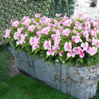CITYES 4 Pcs Artificial Flowers Outdoor Impatiens UV Resistant Silk Impatiens Flowers Pink Faux Flowers Impatiens Bushes Artificial Impatiens for Pot Patio Lawn Garden Hanging Basket Porch Decor