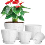 lokeisna 5 Pcs Plant pots, 7.5/6.5/5.7/4.9/4.1 inch Pots for Plants, Flower Pot Indoor Modern Decorative Plant Pot, Plant Pots Indoor with Drainage and Saucer for All House Plants, Spray Spots