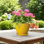 8 Inch Pots for Plants, Ceramic Plant Pots for Indoor Plants, Round Ceramic Planter with Drainage Hole and Saucer, Modern Decorative Plant Pot, Home Kitchen Decor, Women Men Gifts, Yellow