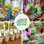 Sprout N Green 100 Live Succulent Plants, 10 Assorted Varieties of Real Succulents Rooted in 2" Pot with Soil, Small Indoor House Plants for Home Garden Wedding Decor Party Favor
