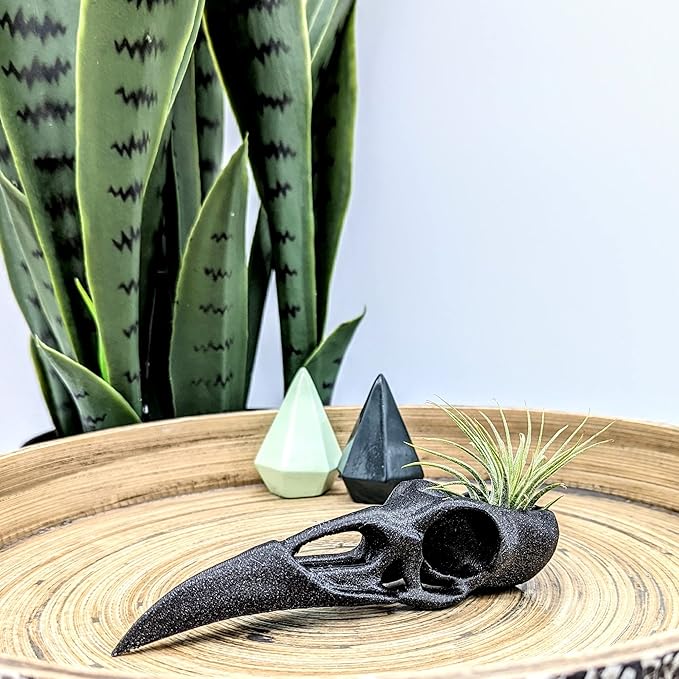 Raven Skull Air Plant Holder - Gothic Raven Air Planter - Bird Skull Witch Decor for Home - Crow Art Sculpture - Halloween Spooky Plant Pot