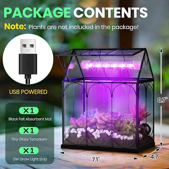 Meonum Tiny Glass Terrarium Kit with Grow Light, Venus Fly Trap Terrarium with Absorbent Mat, Timer&3 Light Modes for Succulent Live Air Plants Indoor Home Office Decor (7.1"x 4.7"x 8.7",USB Powered)