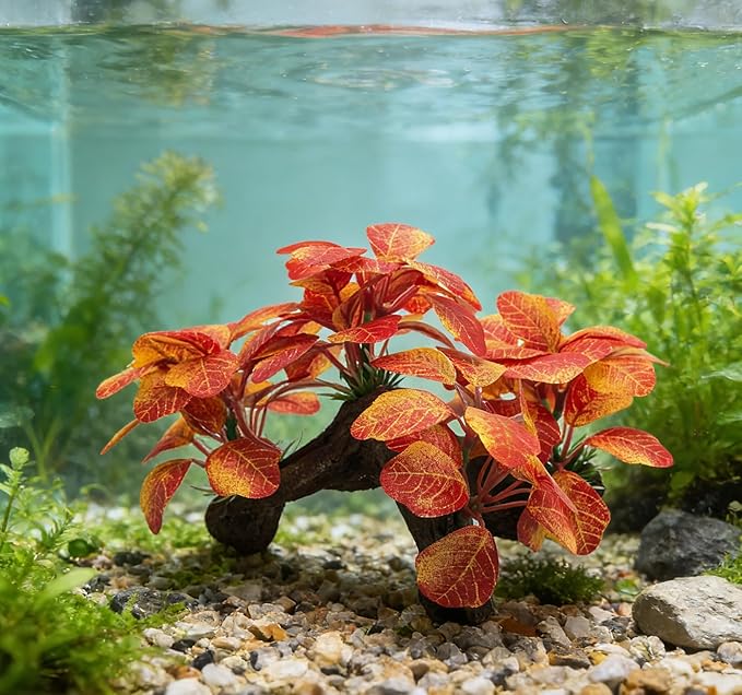 M2cbridge Artificial Fish Tank Plants Aquarium Plant Aquatic Water Grass Foreground Decor(2PCS Large Colorful)