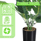 JJUNW 12 Pack Climbing Houseplant Stem Supports, Reusable Plastic Plant Stem Holders Hook Growth Accessories for Indoor Outdoor Plants (Black)
