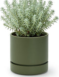 Phoenix Vine 6 Inch Planter Pot with Drainage Hole & Saucer, Deep Water Catch Tray, Straight Cylindrical Round Pot for Plants, Olive, Pack of 1, 23-F-S-1