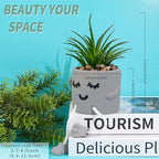 Cute Artificial Succulents Plants in Cement Pots with Hanging Legs - Small Fakeplants Kitchen Shelves Decor, Bathroom Shelf Decoration, Shelf Decoration Accents, Office Wall Decor - Set of 1