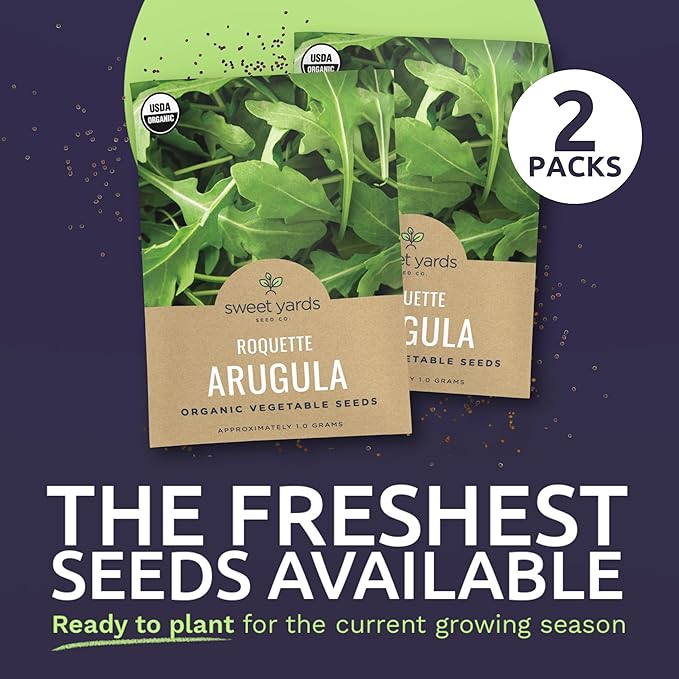 Organic Arugula Seeds - 2 Seed Packets! - Over 1,100 Open Pollinated Non-GMO USDA Organic Seeds