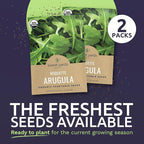 Organic Arugula Seeds - 2 Seed Packets! - Over 1,100 Open Pollinated Non-GMO USDA Organic Seeds