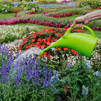 MyLifeUNIT Watering Can for Indoor Plants, Water Can with Shower Head, 1/2 Gallon (Green)
