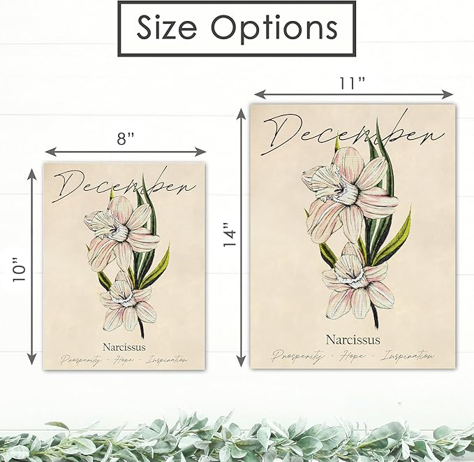 December Birth Flower Art Print - 8x10 (Unframed) | Capturing the Splendor of the December Birth Flower | Decor Accent for Birthdays and Special Occasions | Living Room Décor | Modern Home Décor