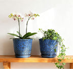 Gepege 6 Inch Ceramic Planter, Blue Plant Pot with Drainage Holes and Saucers for Indoor Plants, Birthday for Women Mom
