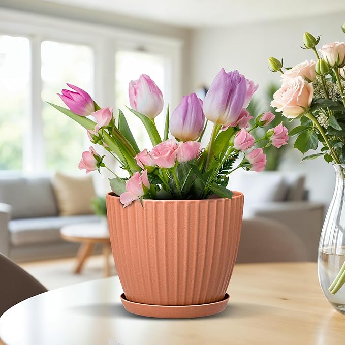 Terracotta 6-Inch Plant Pots with Drainage & Saucers 24 Pack, Indoor & Outdoor Planters for Houseplants, Herbs, and Flowers, Durable & Weatherproof Material, Stackable, Lightweight, Minimalist Design