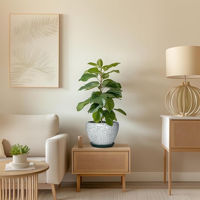 Ceramic Flower Pots - 8 Inch Pots for Plants Indoor Outdoor, Round Plant Pot Indoor with Drainage Hole and Saucer, Modern Decorative Planter, Bedroom Decor, Gardening Gifts, Crackle Green