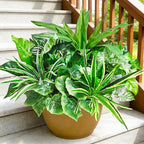 Artificial Plants for Outdoors Faux Greenery Leaves UV Resistant Realistic Plastic Large Bunches Shrubs Bushes with Stems, Fake Plants Decor Outdoor for Front Porch Door Patio Garden Yard, 9Pcs